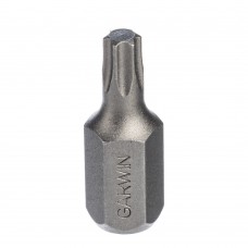 Бита, с шестигранным хвостовиком, 10 мм, T25, 30 мм, 1 шт, GARWIN PRO, 631025-T25
