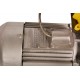 Вибротрамбовка электрическая 65 кг, 9кН 2,2кВт TOR HCD80 (1018809)