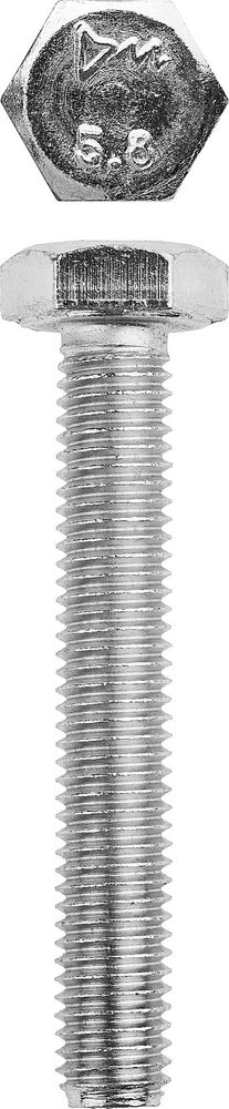 Болт M10 x 60 мм, кл. пр. 5.8, цинк, 5 кг, ГОСТ 7798-70 ЗУБР 303080-10-060