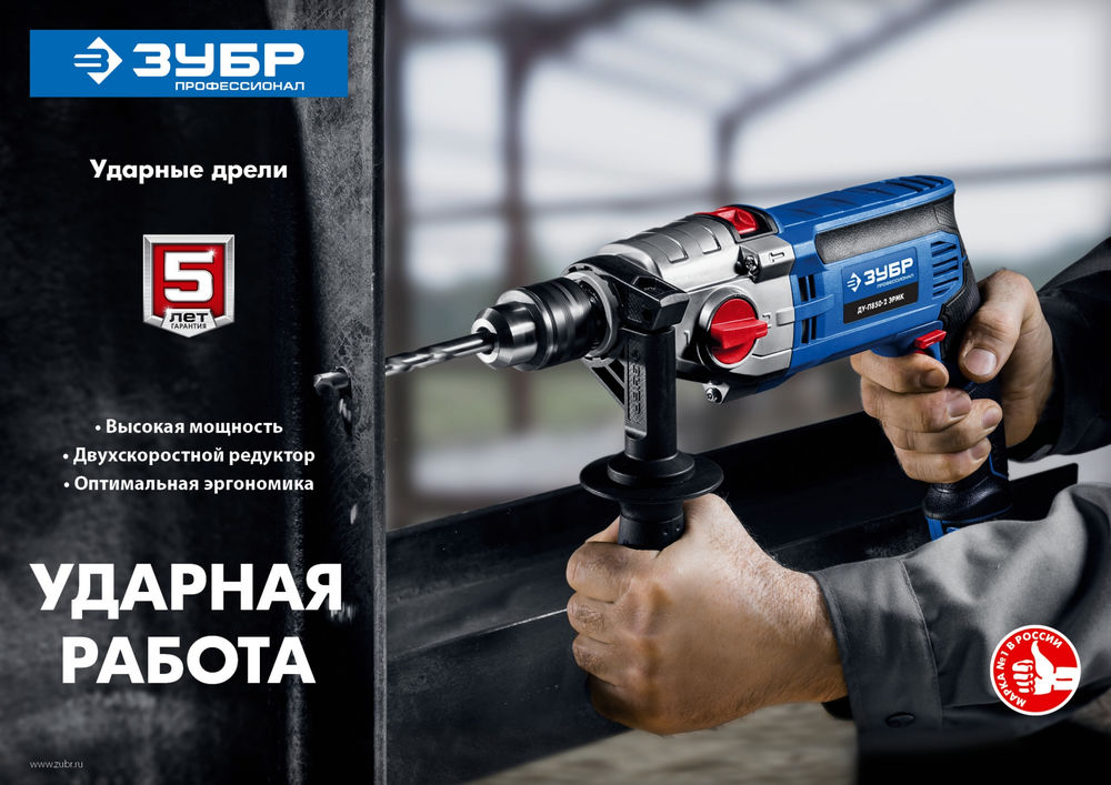 Дрель ударная 850 Вт 13 мм 2 скорости мет. корпус Профессионал ЗУБР ДУ-П850-2 ЭРМ