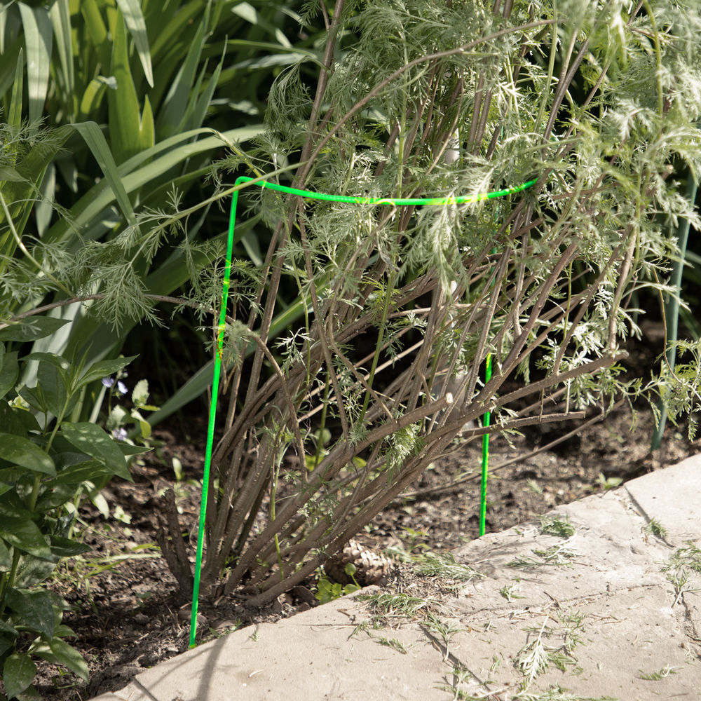 Кустодержатель круг 0.25 м, высота 0.6 м, 2 шт, D проволоки 5 мм (64417)