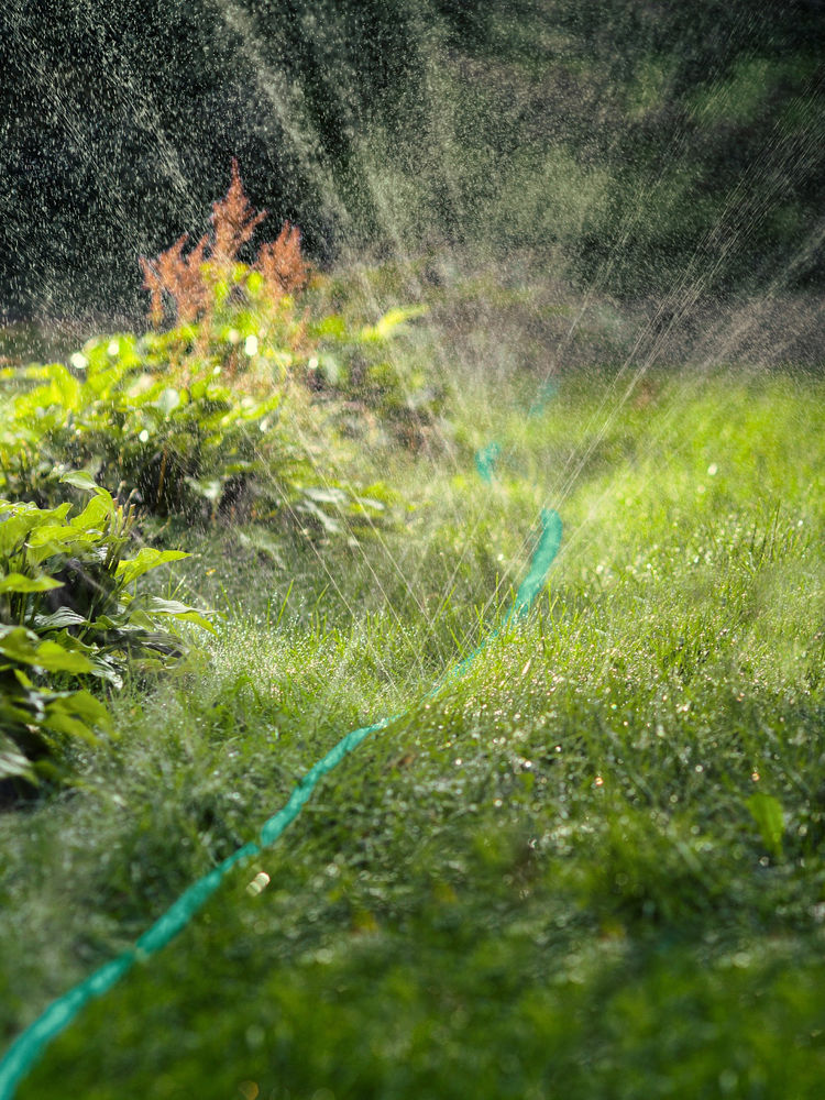 Шланг-дождеватель S-7, 7.5 м, микроперфорация, PROLine GRINDA 8-429015-7