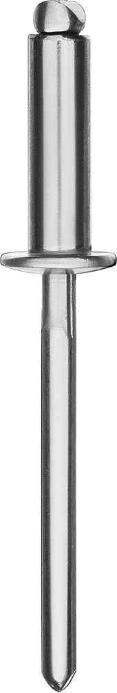 Нержавеющие заклепки Inox, 4.8 x 30 мм, 250 шт KRAFTOOL 311705-48-30