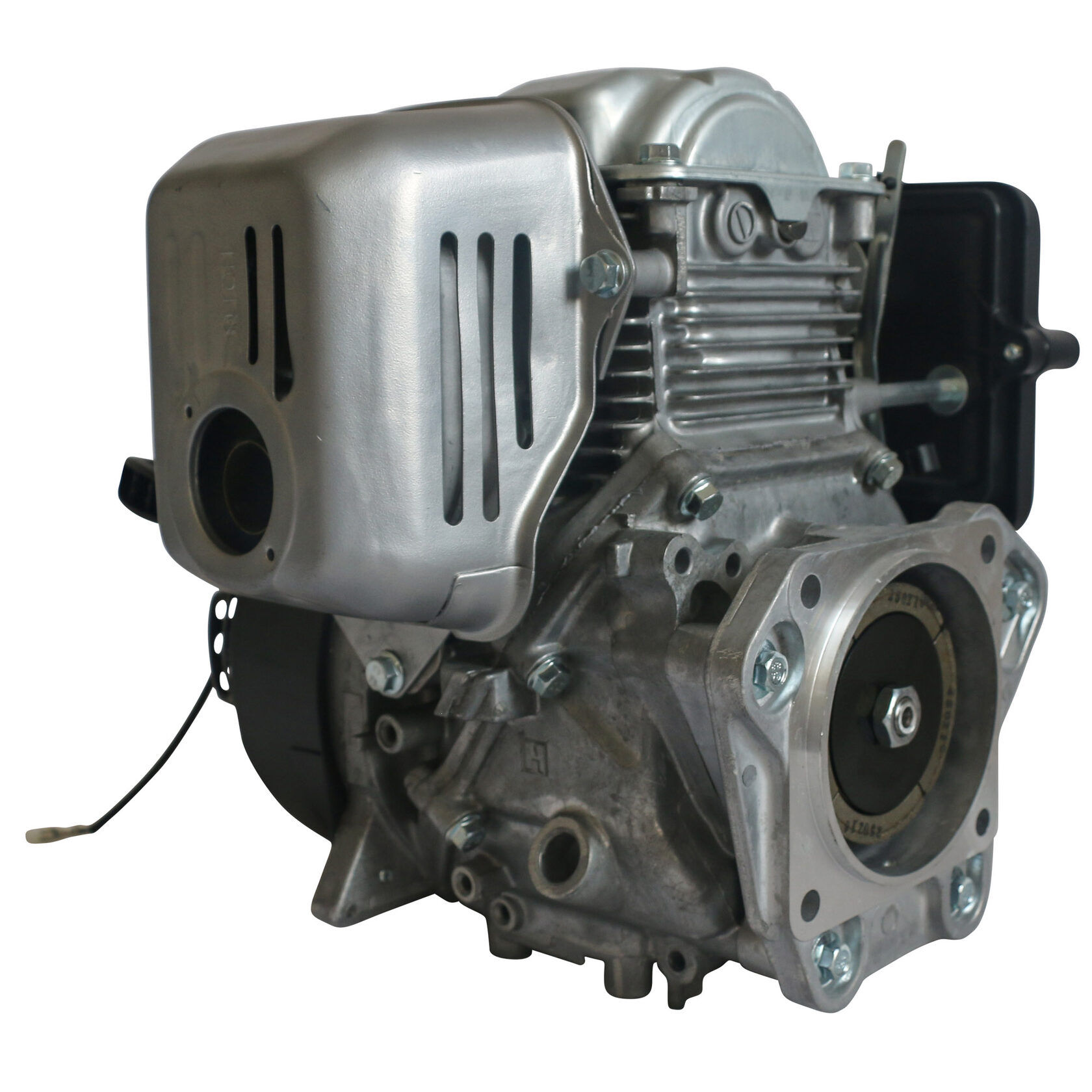 Двигатель бензиновый EVOline 156FC (фланец)